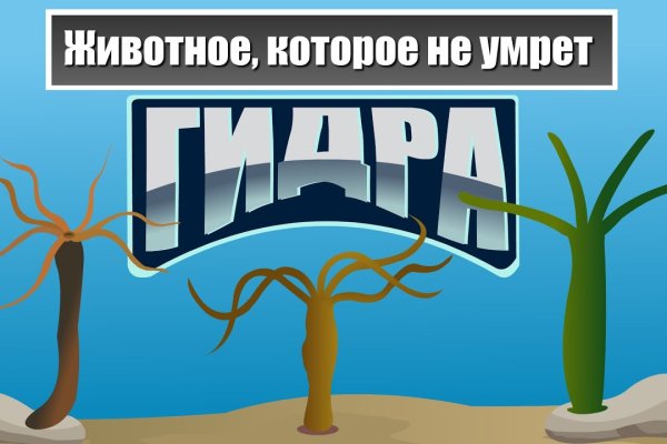 Кракен сайт маркетплейс ссылка